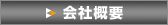 ЊTv